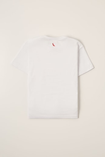 Kit 3 Camisetas Mini Brasa Branca Pica Pau Bordado
