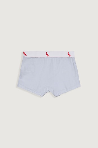 Kit 7 Cuecas Brancas Mini Boxer