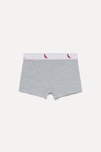 Kit 7 Cuecas Cinzas Mini Boxer